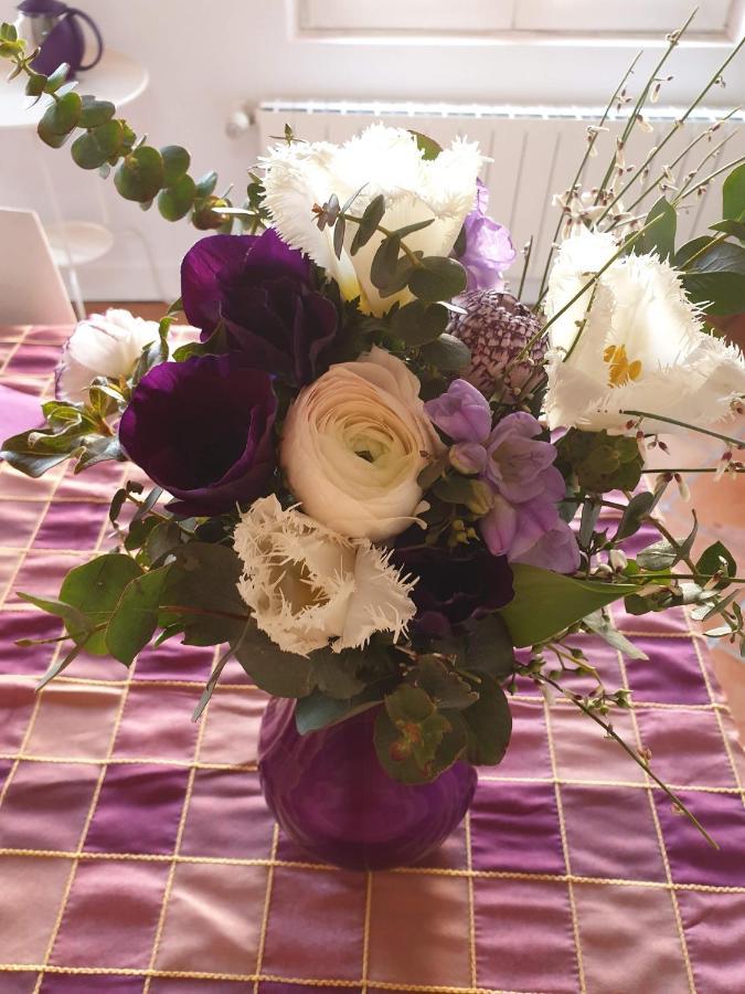 La Villa Des Violettes 툴루즈 외부 사진