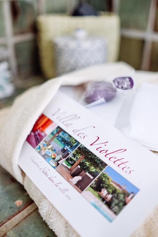 La Villa Des Violettes 툴루즈 외부 사진