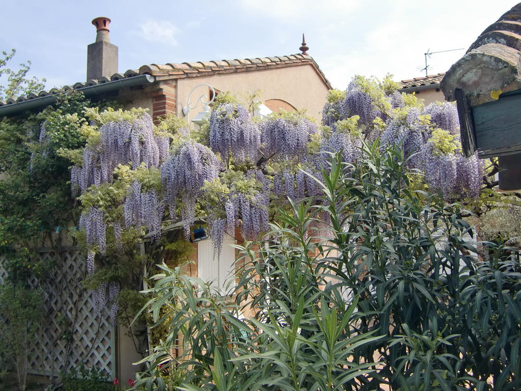 La Villa Des Violettes 툴루즈 외부 사진