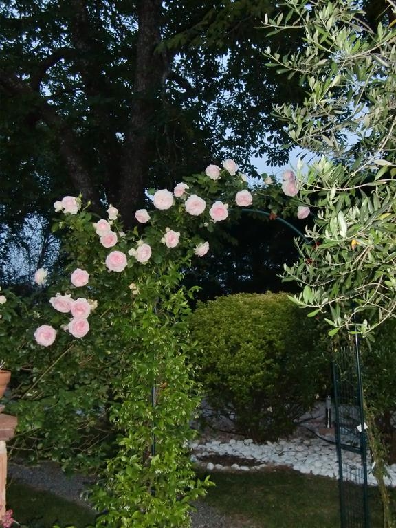 La Villa Des Violettes 툴루즈 외부 사진